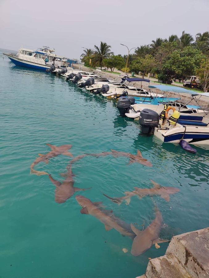 Rashuthere Maldives Rasdhoo Экстерьер фото