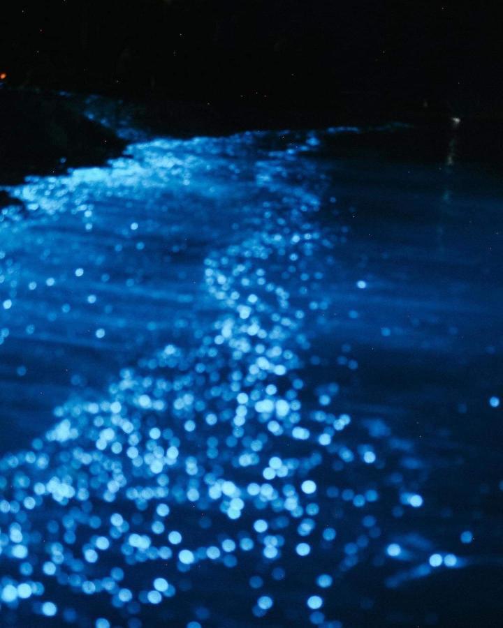 Rashuthere Maldives Rasdhoo Экстерьер фото