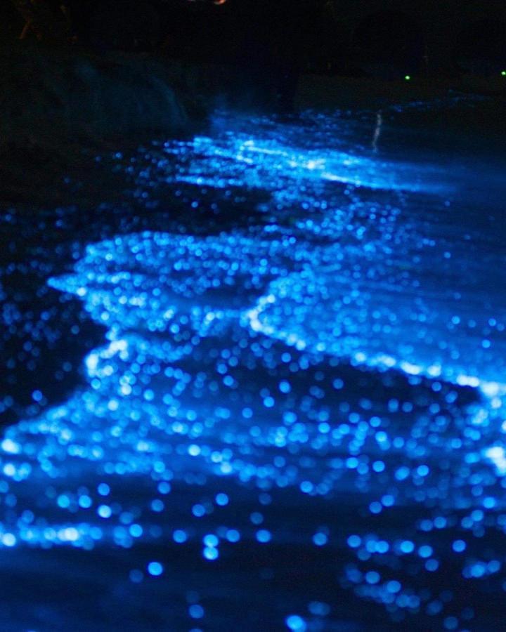 Rashuthere Maldives Rasdhoo Экстерьер фото