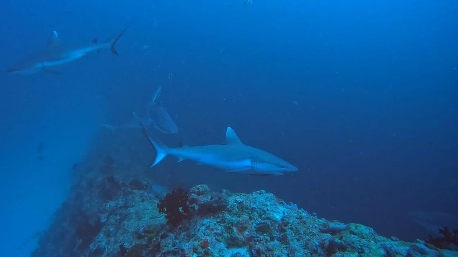 Rashuthere Maldives Rasdhoo Экстерьер фото