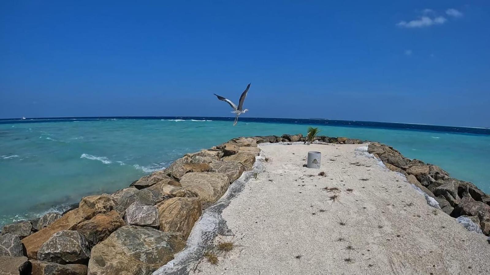 Rashuthere Maldives Rasdhoo Экстерьер фото